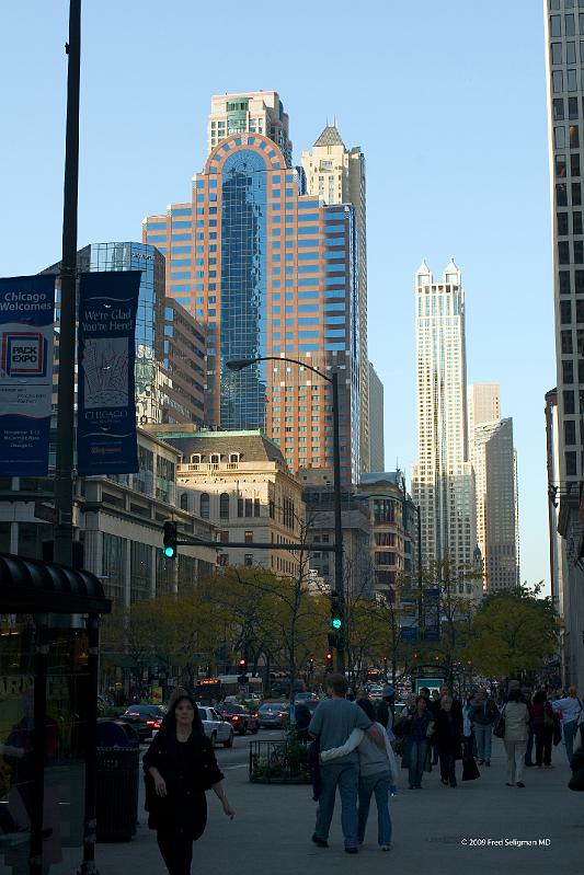 20081031_173050 D300 2x3 P1 srgb.jpg - Chicago skyscrapers from view north of Chicago River